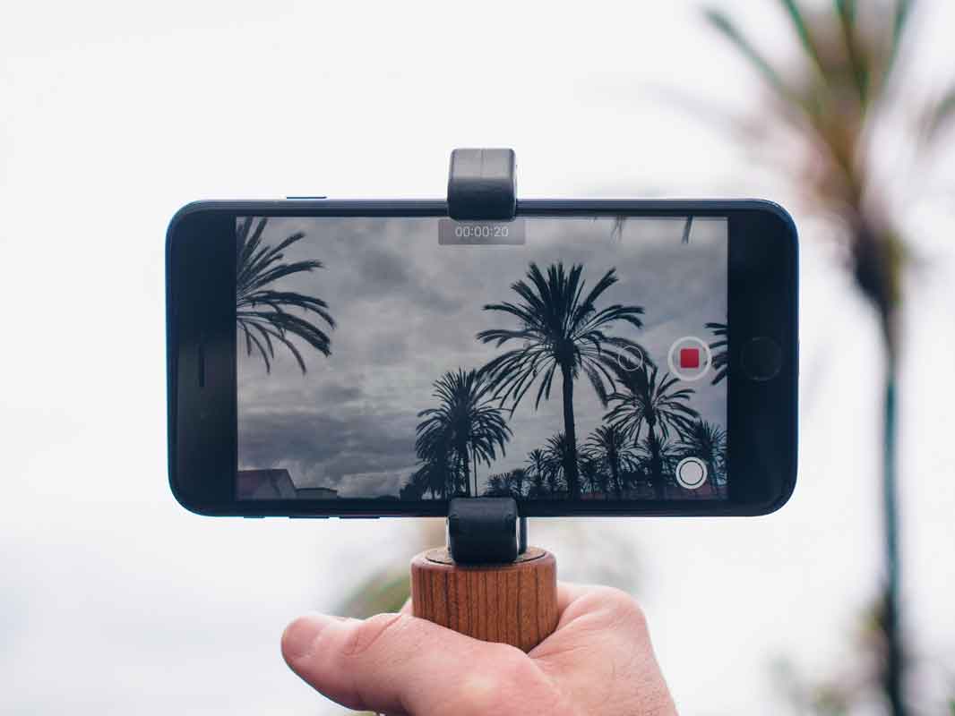 the glif with the hangle and phone attached in a tropical setting