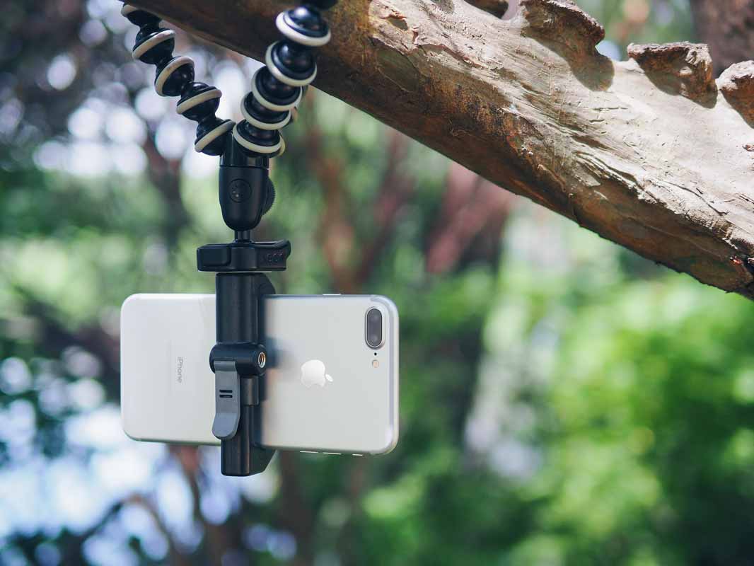 a phone being held upside-down by the Glif while hanging from a tree.